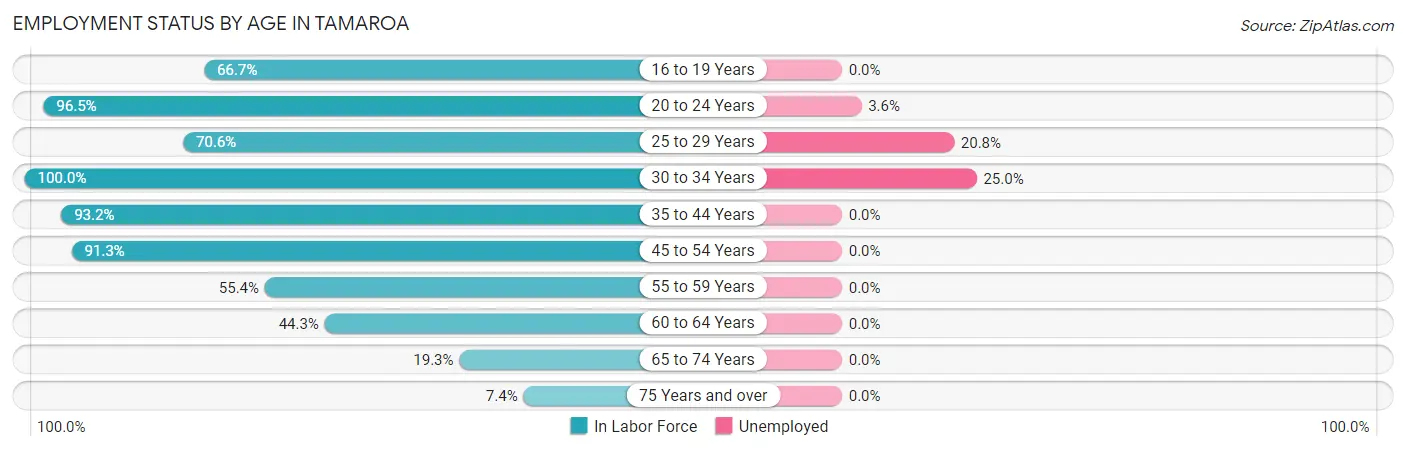 Employment Status by Age in Tamaroa