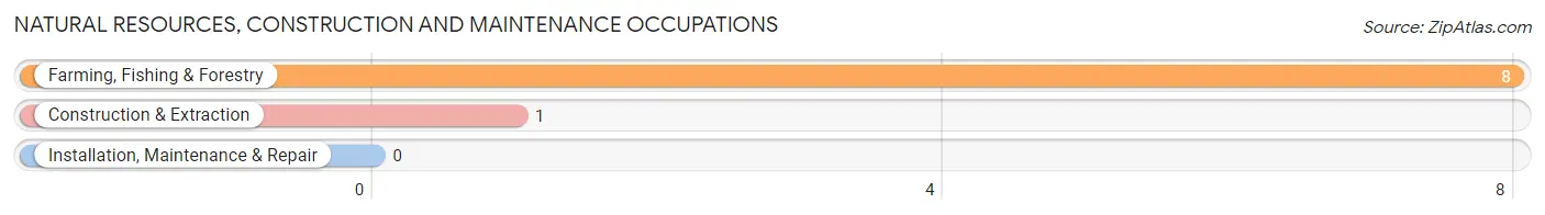 Natural Resources, Construction and Maintenance Occupations in Tamms