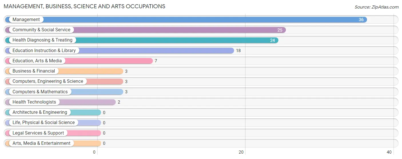 Management, Business, Science and Arts Occupations in Tampico