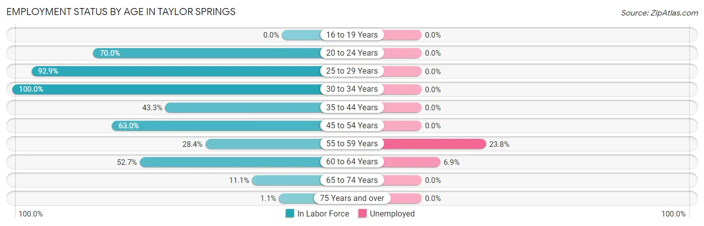 Employment Status by Age in Taylor Springs