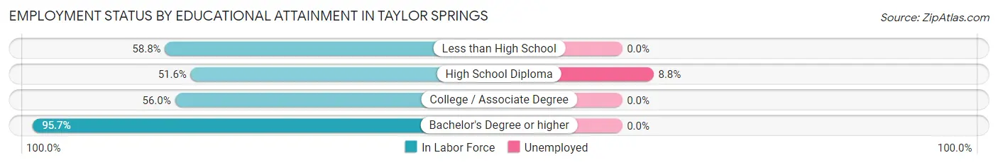Employment Status by Educational Attainment in Taylor Springs