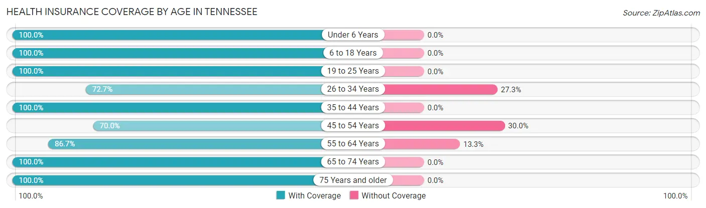 Health Insurance Coverage by Age in Tennessee