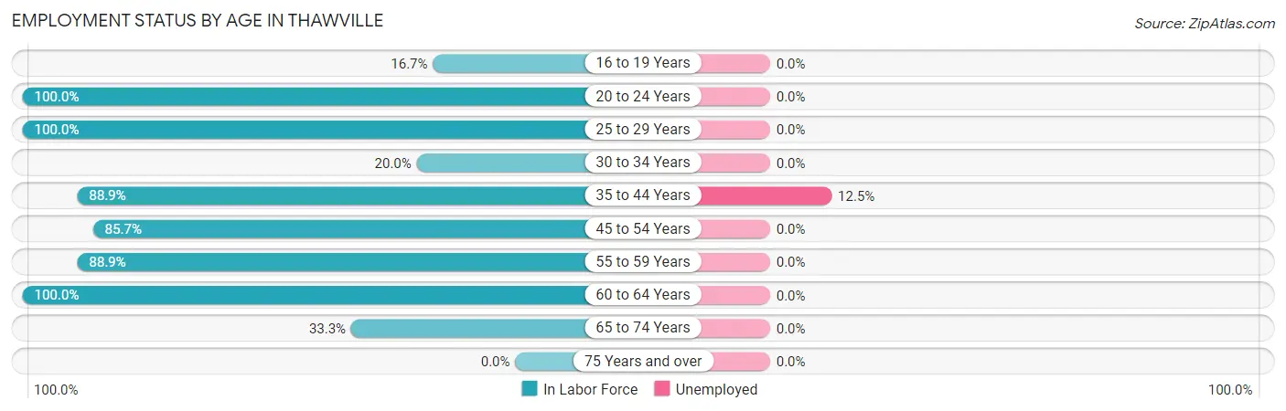 Employment Status by Age in Thawville