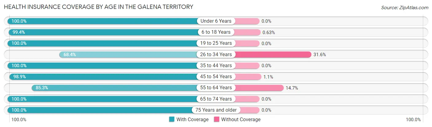 Health Insurance Coverage by Age in The Galena Territory