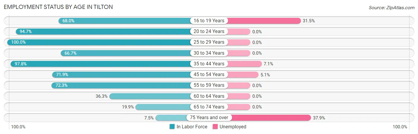 Employment Status by Age in Tilton