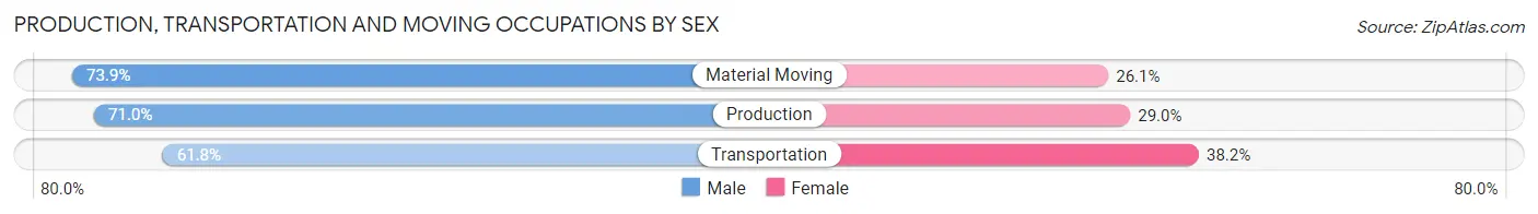 Production, Transportation and Moving Occupations by Sex in Toledo