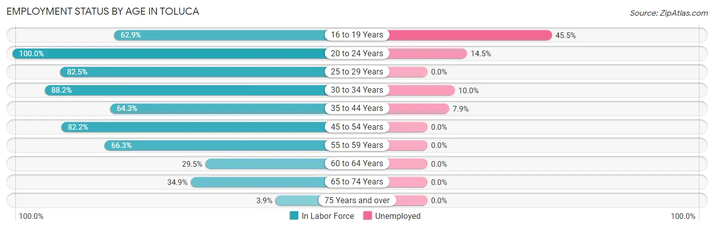 Employment Status by Age in Toluca