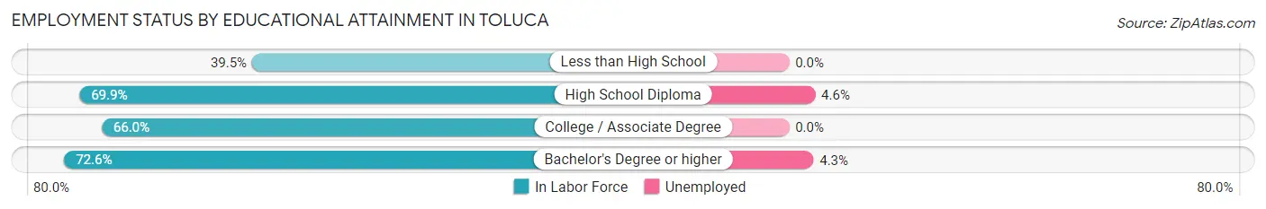 Employment Status by Educational Attainment in Toluca