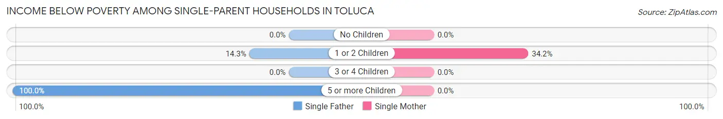 Income Below Poverty Among Single-Parent Households in Toluca
