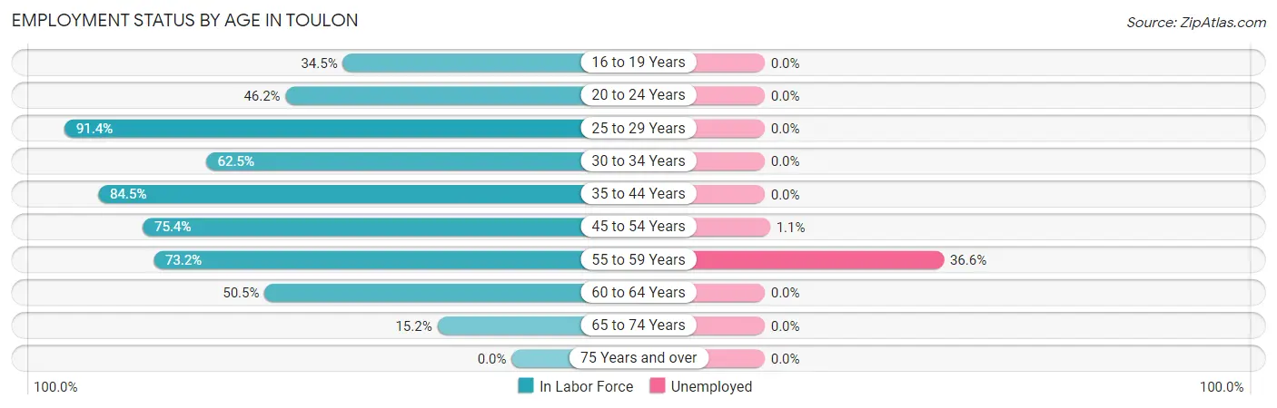 Employment Status by Age in Toulon