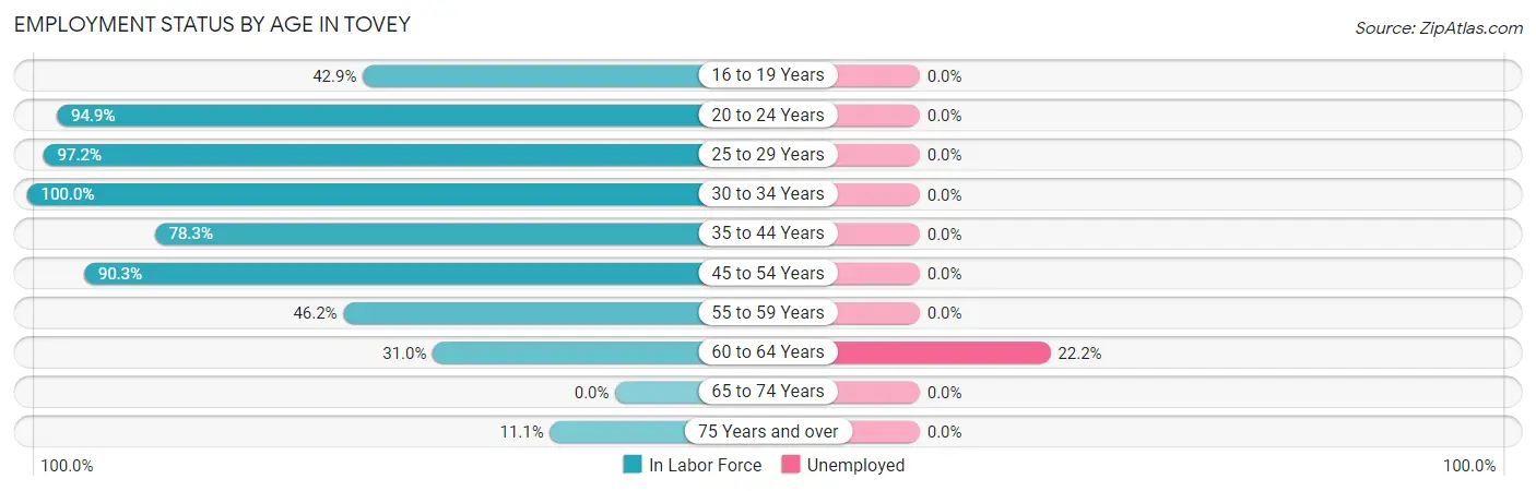 Employment Status by Age in Tovey