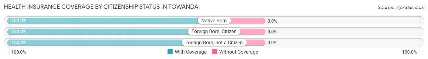 Health Insurance Coverage by Citizenship Status in Towanda