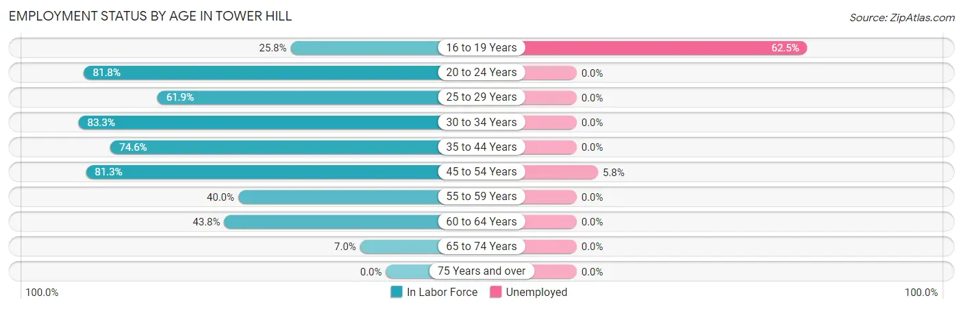 Employment Status by Age in Tower Hill