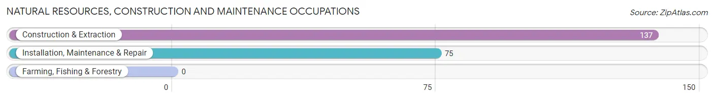 Natural Resources, Construction and Maintenance Occupations in Trenton