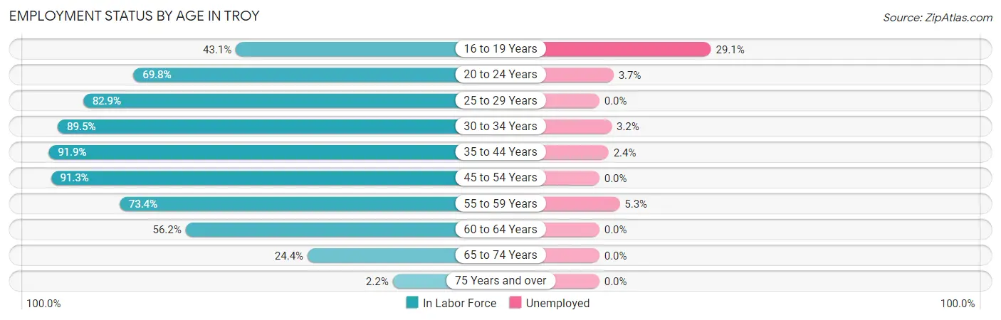 Employment Status by Age in Troy