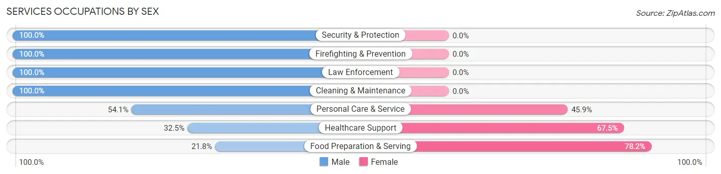 Services Occupations by Sex in Troy