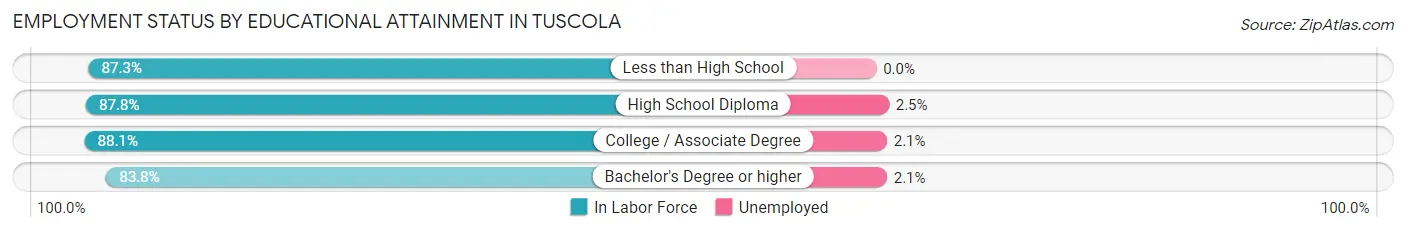 Employment Status by Educational Attainment in Tuscola