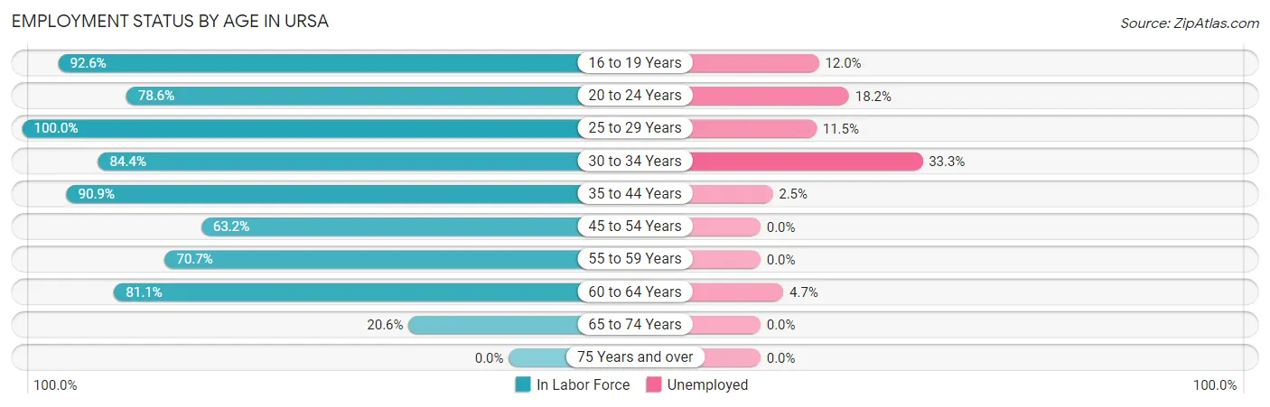 Employment Status by Age in Ursa