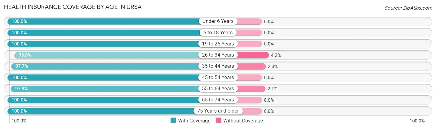 Health Insurance Coverage by Age in Ursa