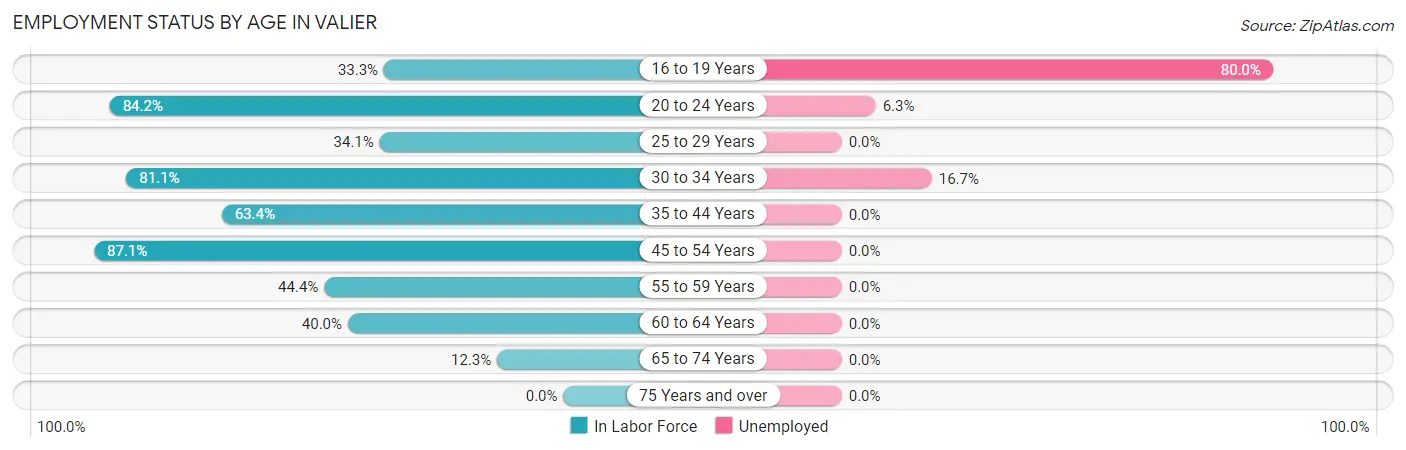 Employment Status by Age in Valier