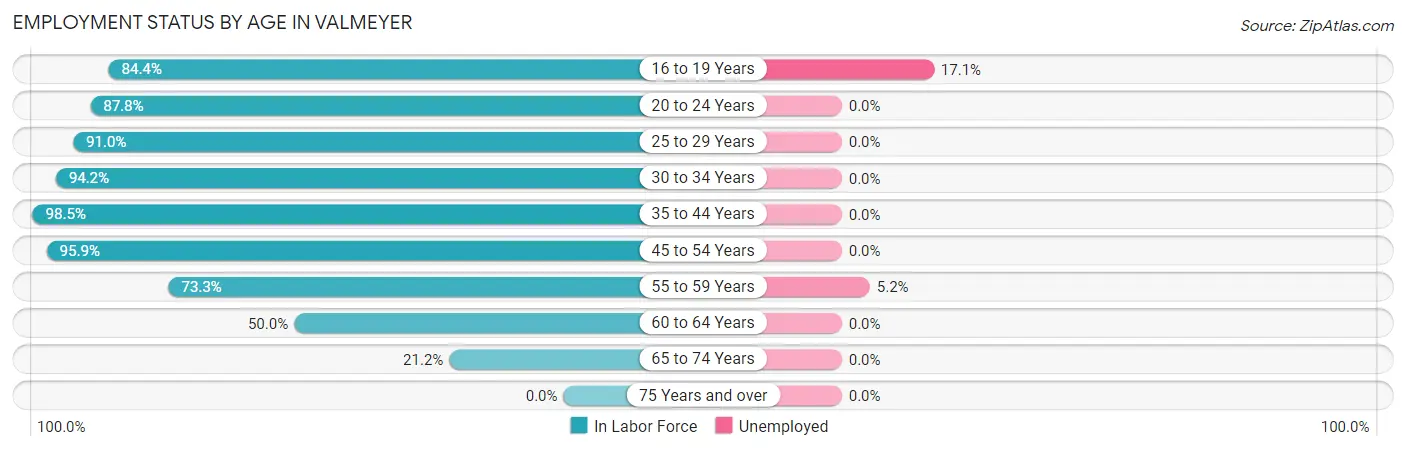 Employment Status by Age in Valmeyer