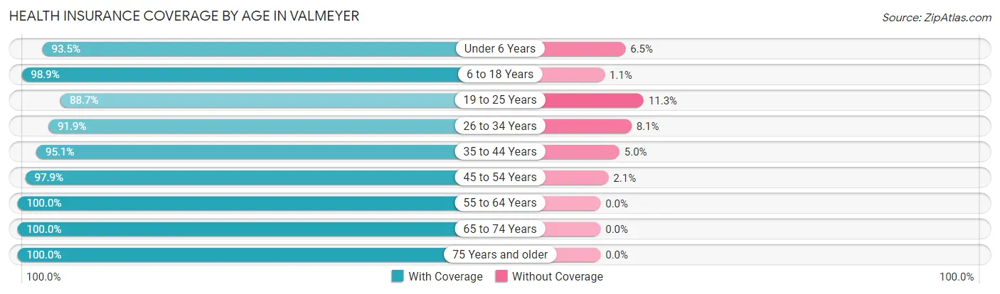 Health Insurance Coverage by Age in Valmeyer