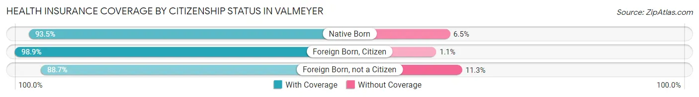Health Insurance Coverage by Citizenship Status in Valmeyer