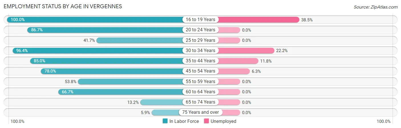 Employment Status by Age in Vergennes