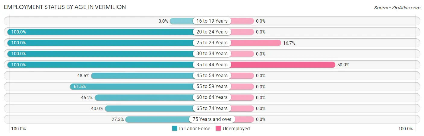 Employment Status by Age in Vermilion