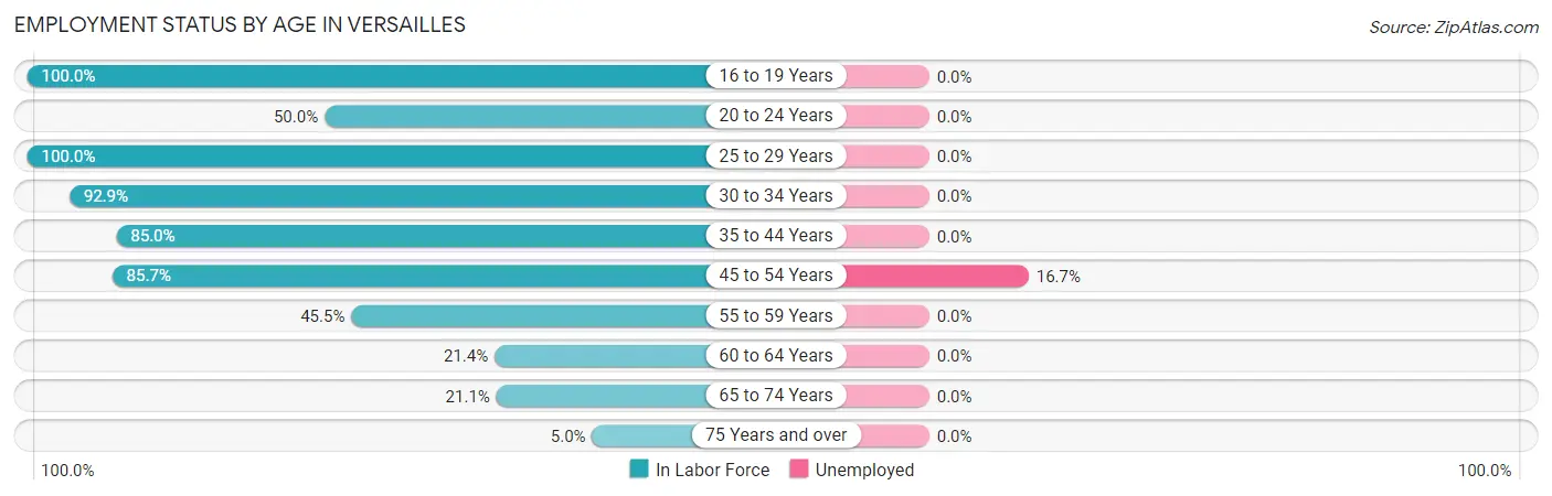 Employment Status by Age in Versailles