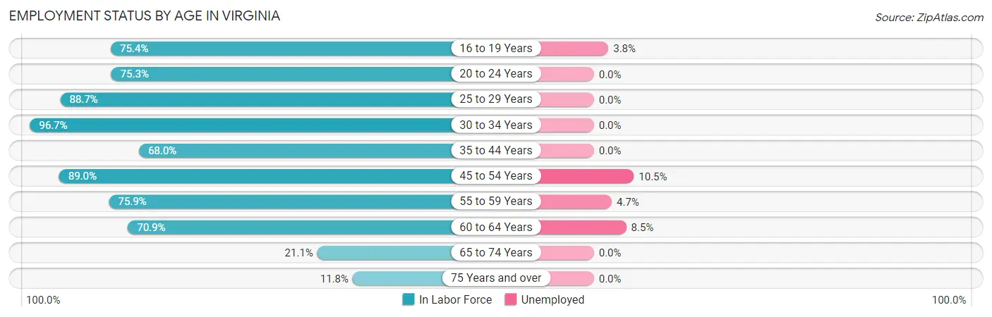 Employment Status by Age in Virginia
