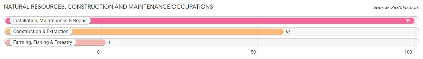 Natural Resources, Construction and Maintenance Occupations in Volo