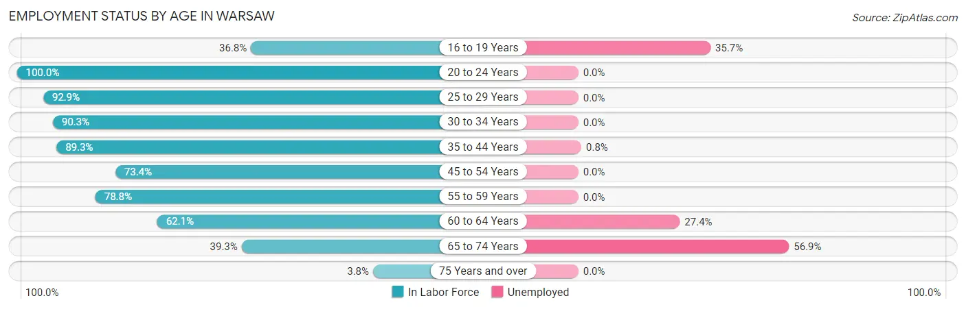 Employment Status by Age in Warsaw