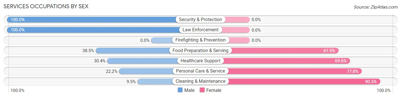 Services Occupations by Sex in Warsaw