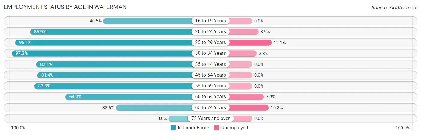 Employment Status by Age in Waterman