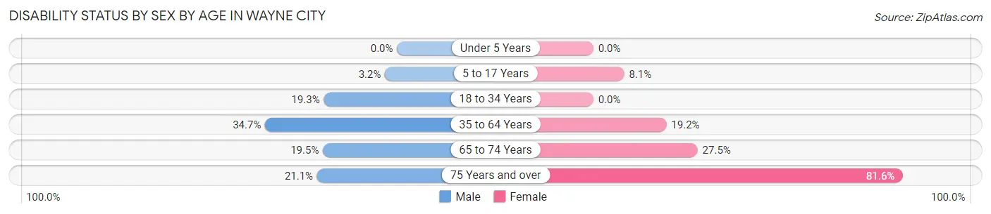 Disability Status by Sex by Age in Wayne City
