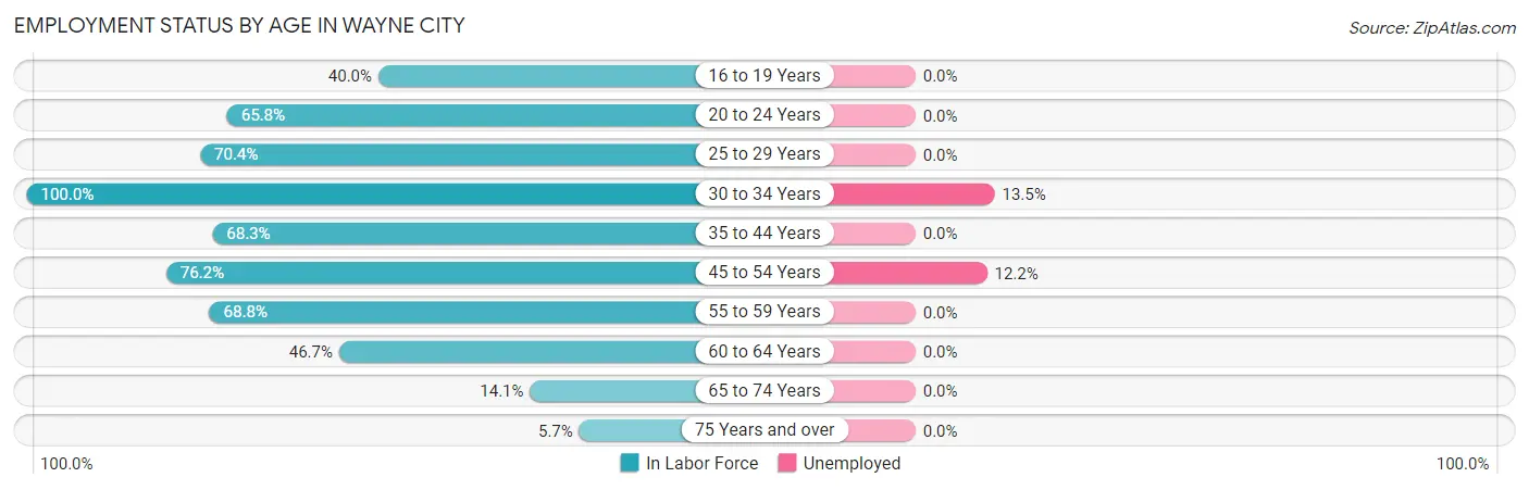 Employment Status by Age in Wayne City