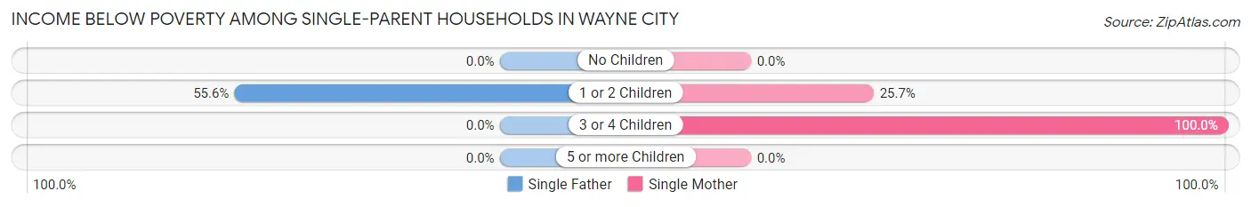Income Below Poverty Among Single-Parent Households in Wayne City