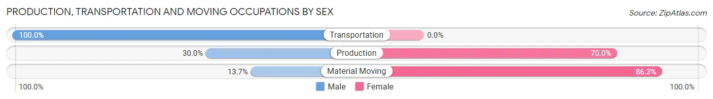 Production, Transportation and Moving Occupations by Sex in Wayne
