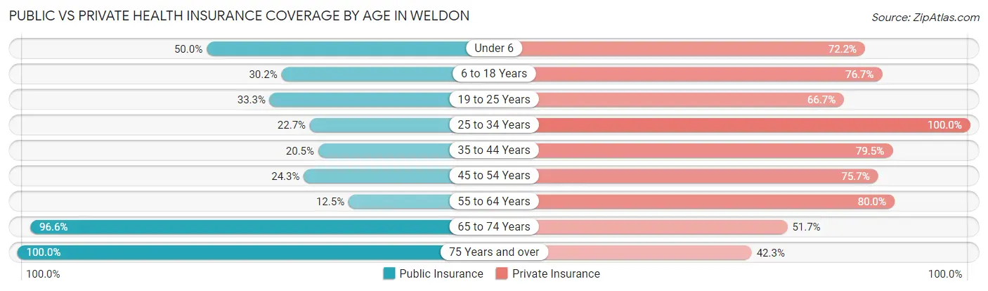 Public vs Private Health Insurance Coverage by Age in Weldon