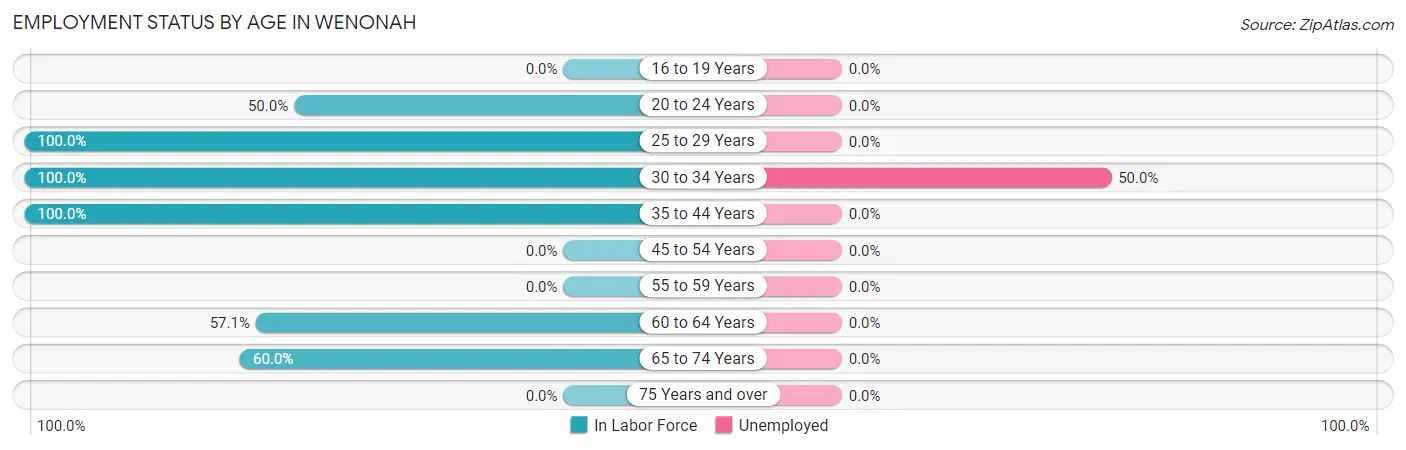 Employment Status by Age in Wenonah