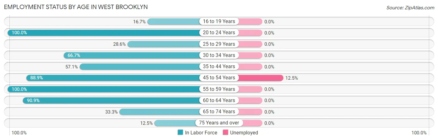 Employment Status by Age in West Brooklyn