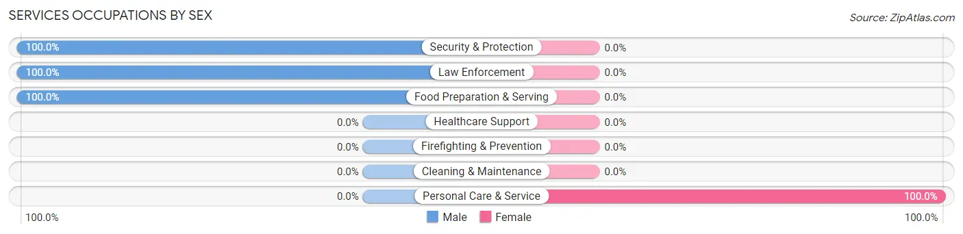 Services Occupations by Sex in West Brooklyn