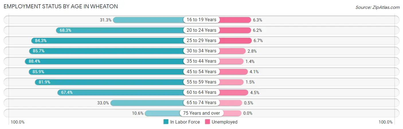 Employment Status by Age in Wheaton