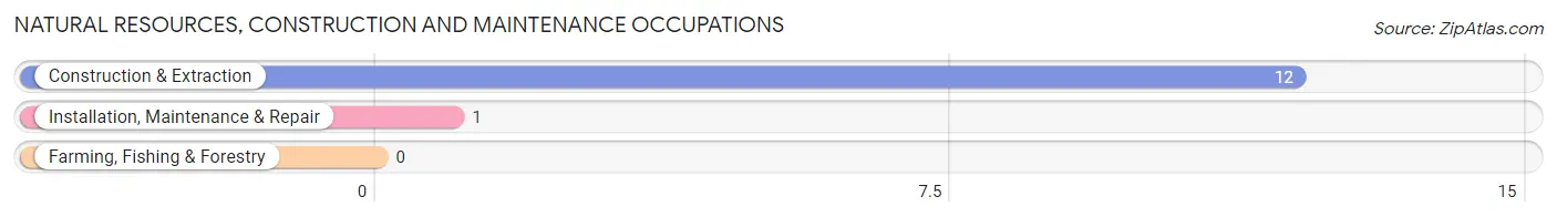 Natural Resources, Construction and Maintenance Occupations in Wheeler