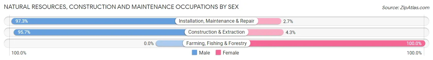 Natural Resources, Construction and Maintenance Occupations by Sex in Wheeling