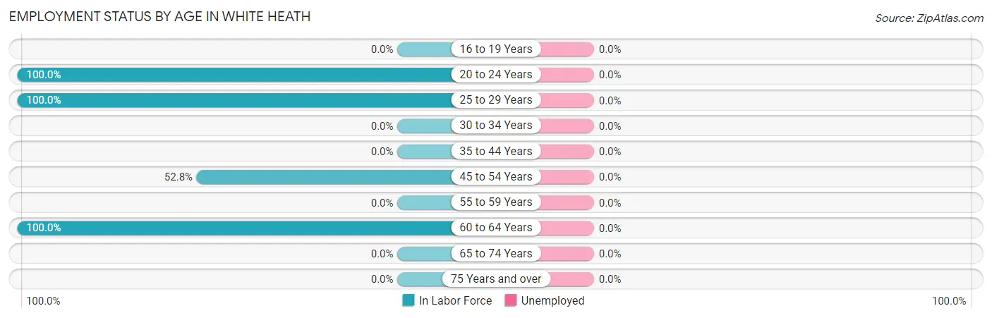 Employment Status by Age in White Heath