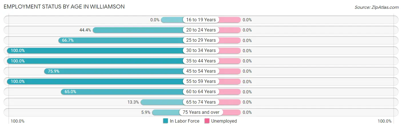 Employment Status by Age in Williamson