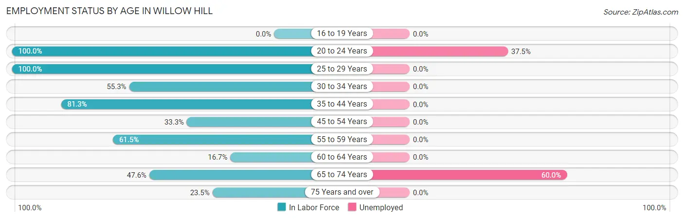 Employment Status by Age in Willow Hill
