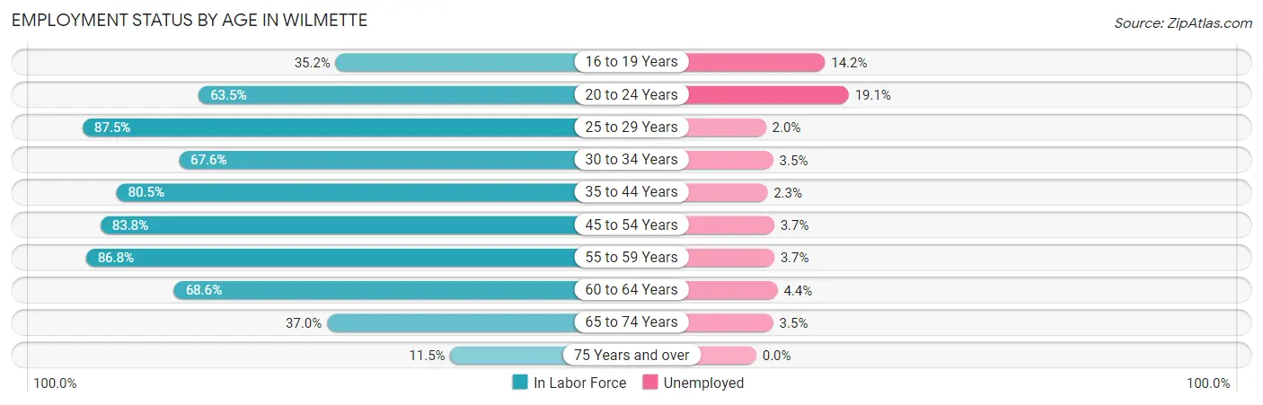 Employment Status by Age in Wilmette
